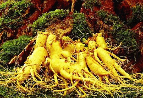Médicaments naturels pour le pouvoir