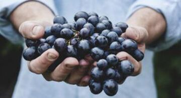 Les raisins aident à renforcer l'érection. 